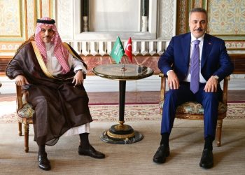 هل تنخرط تركيا في معركة ضد الحوثيين؟