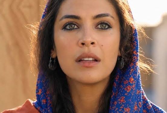 الممثلة بيرهان داملا يلماز ترد على أنباء “عقوبة السجن في ألمانيا”